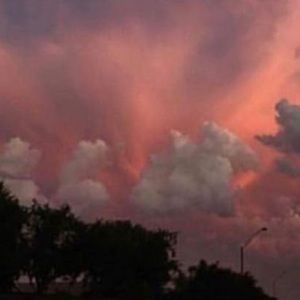 Meet your Posher, Paige